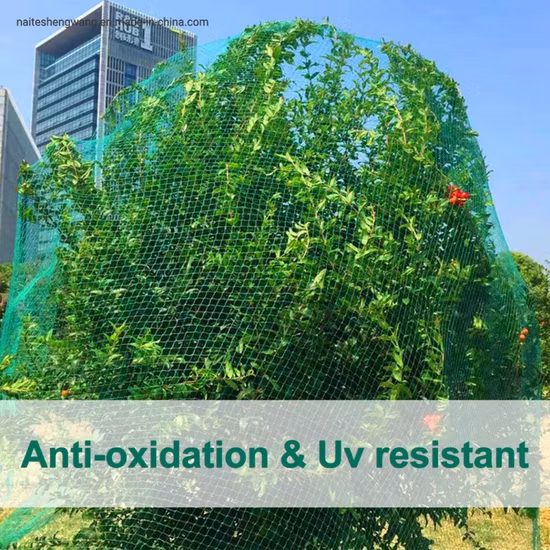 Red de jardín con malla cuadrada de 2,4 